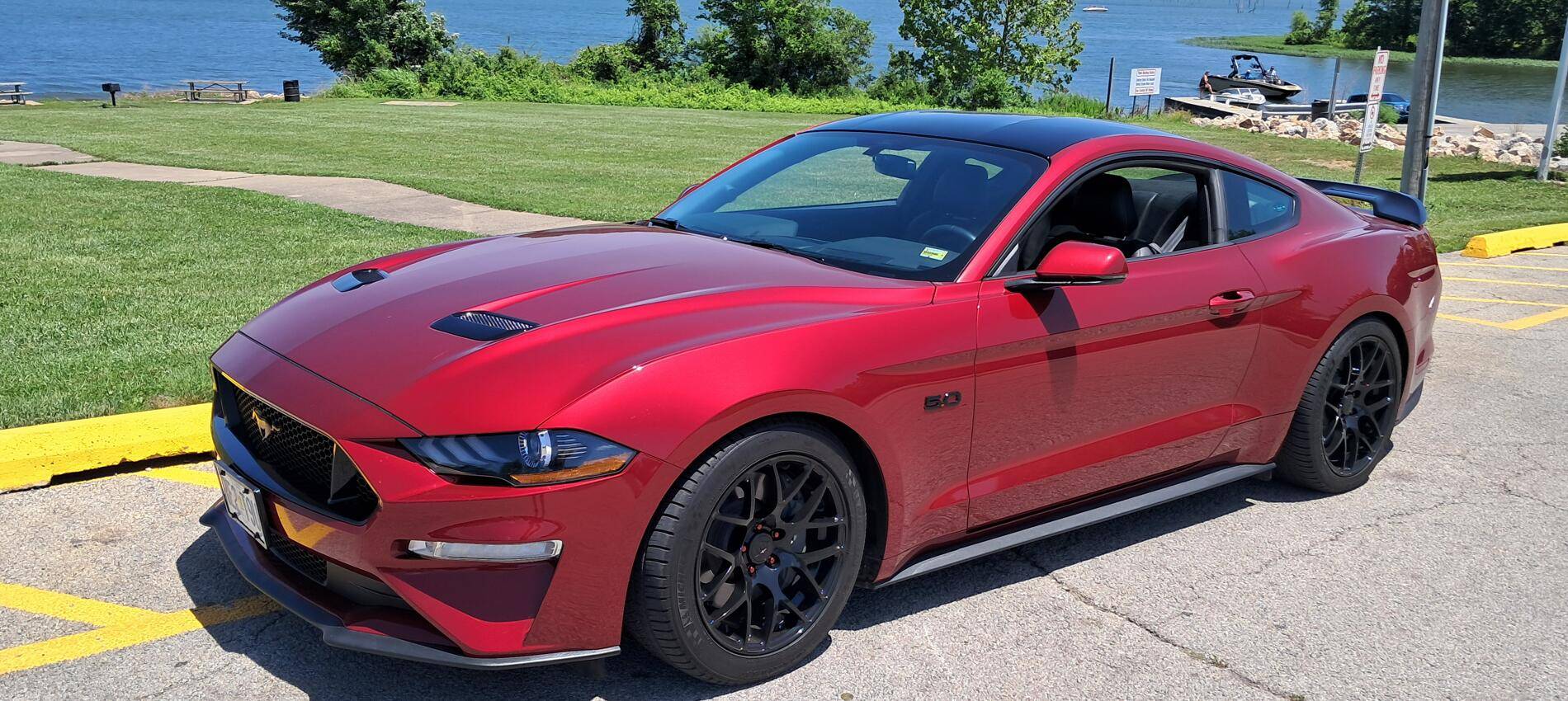 Mustang by the Lake.jpg