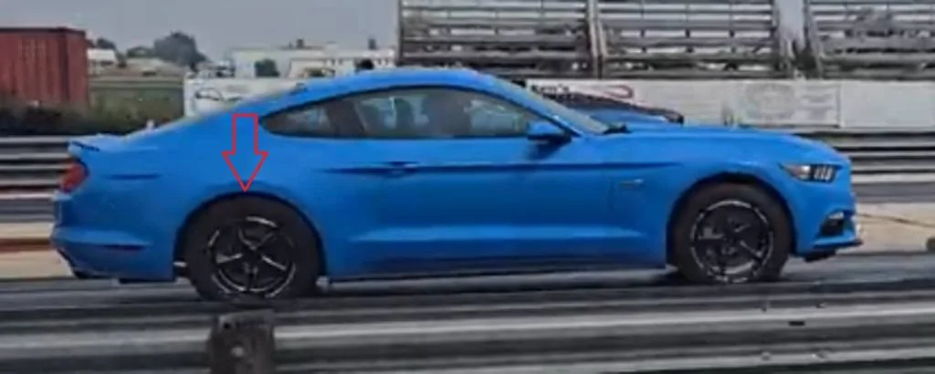 whip2.jpg