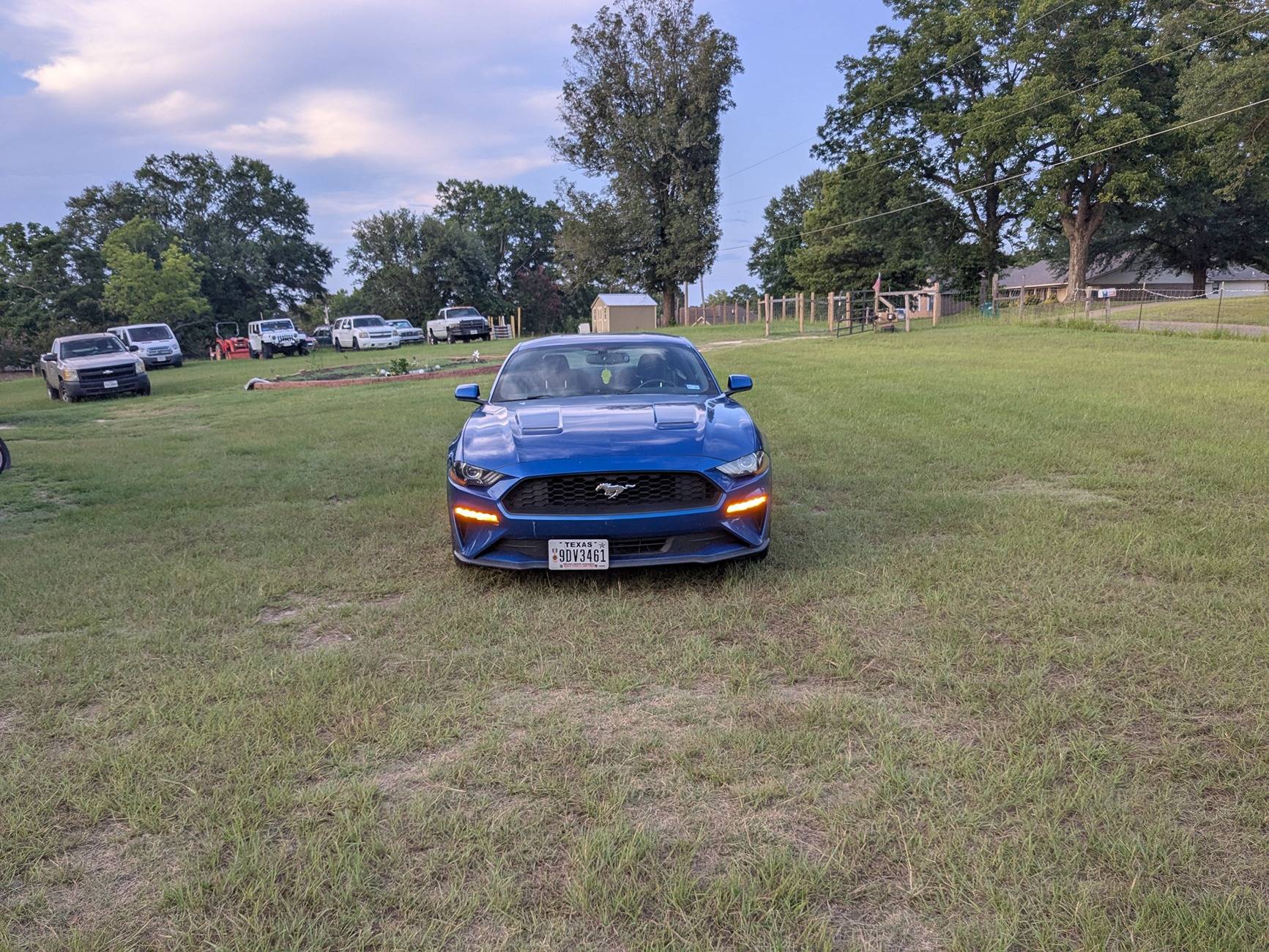 PXL_20250715_010537532.jpg