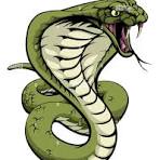 cobra.jpg