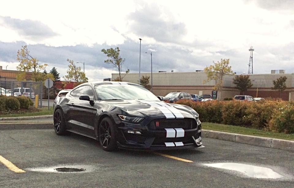 2017 GT350R - 6.jpeg