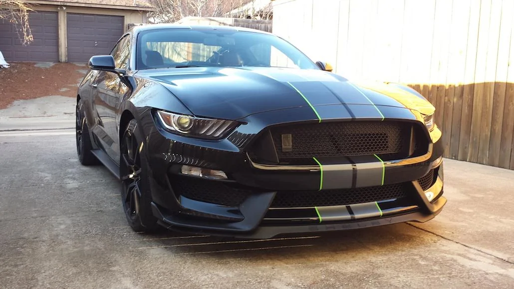 SHELBY 9.webp