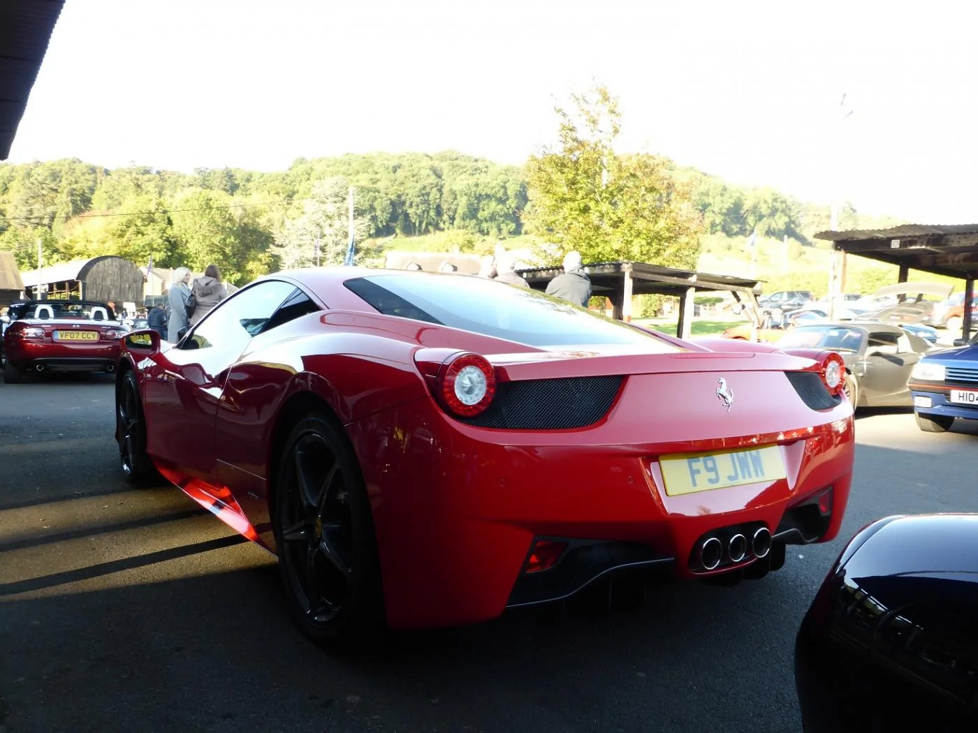 P1020073.webp