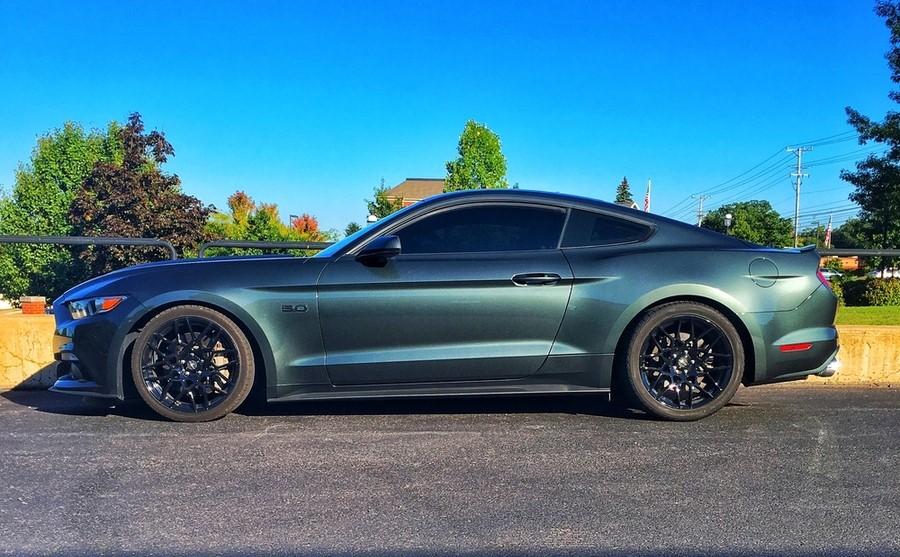 MustangOnGT500eight.JPG