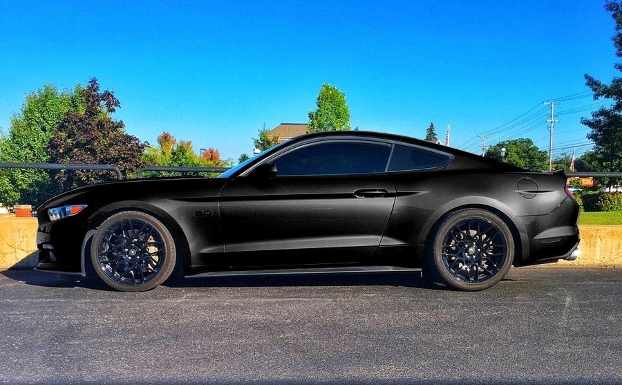 MustangOnGT500eight.JPG