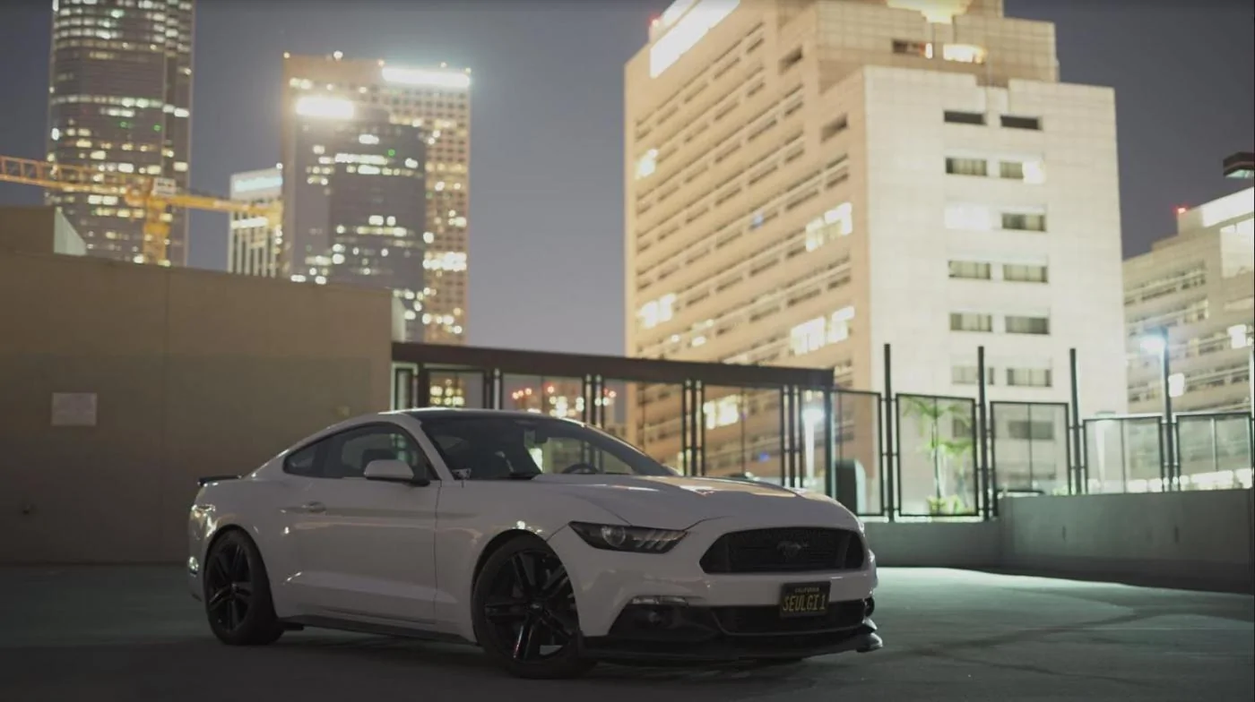 mustang 2.webp