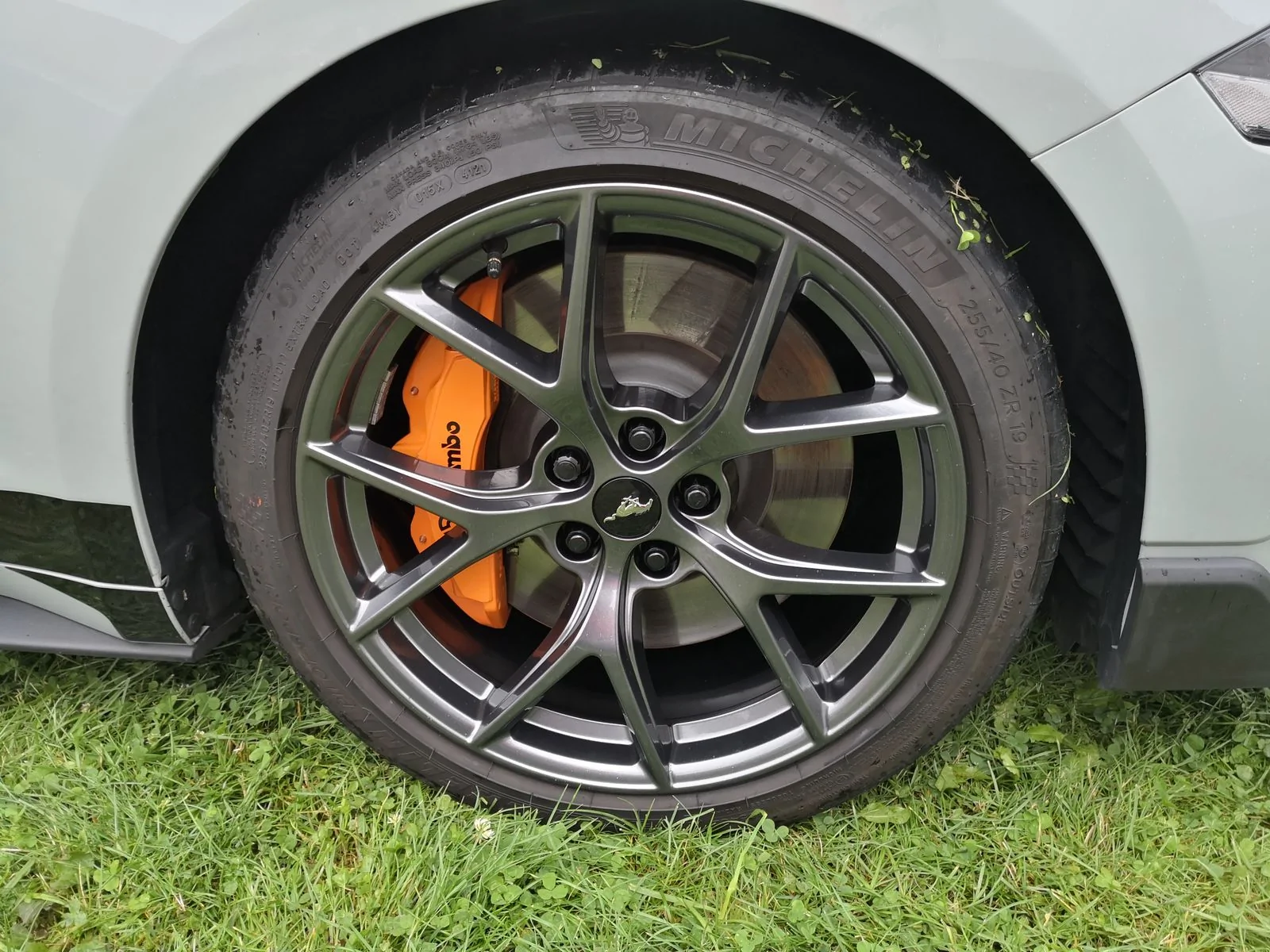 IMG_20250801_114454_result.webp