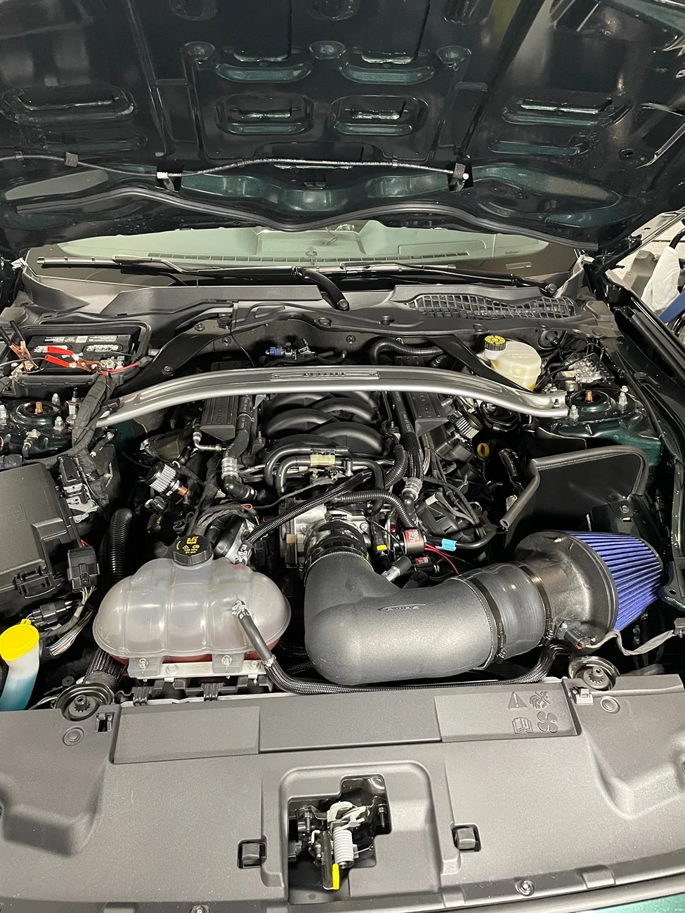 1754139452456-jz.jpg