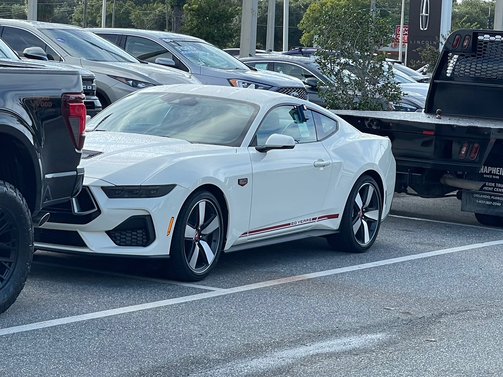1754930814954-4q.jpg