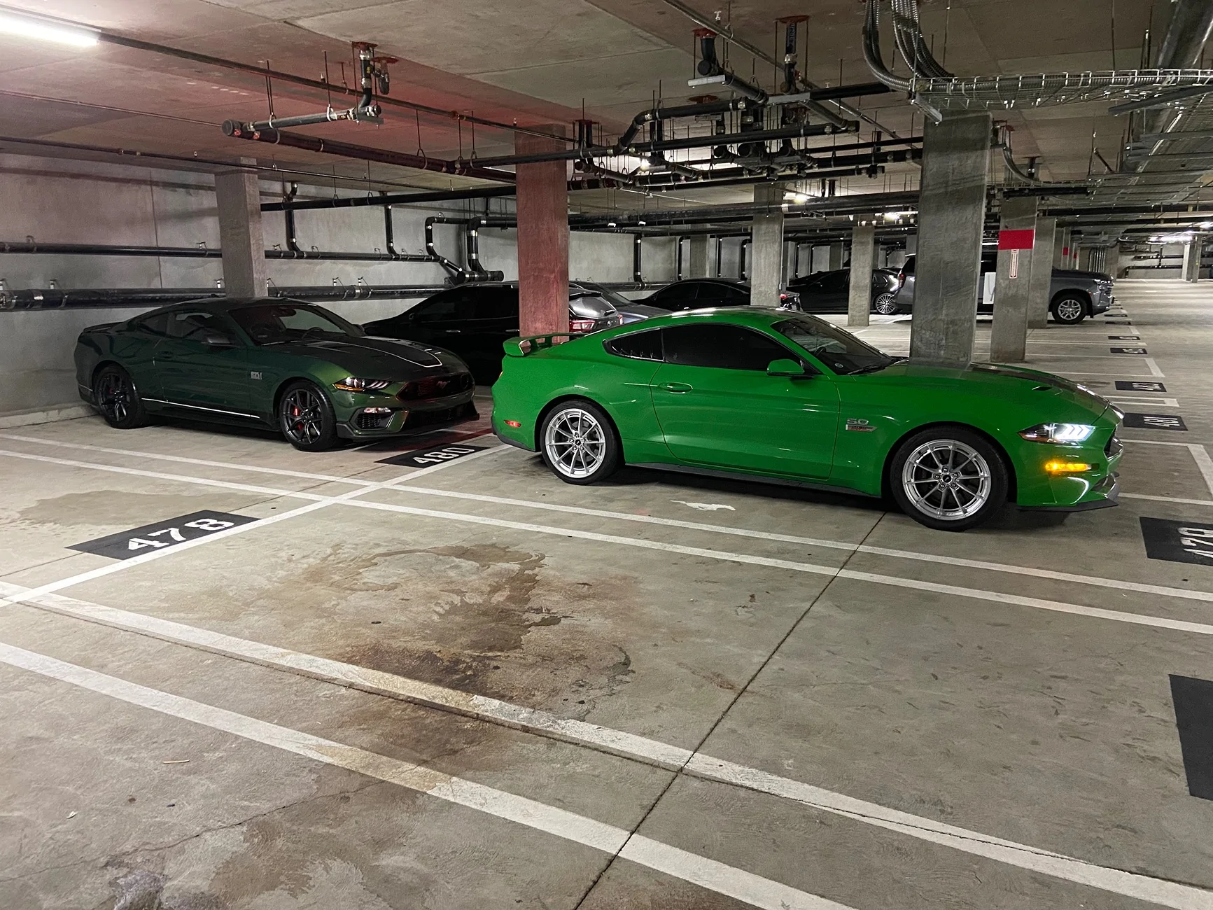 IMG_1417.jpeg