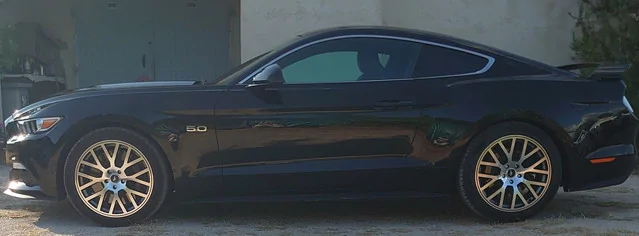 Mustang2025-07-19-18-58-39.webp