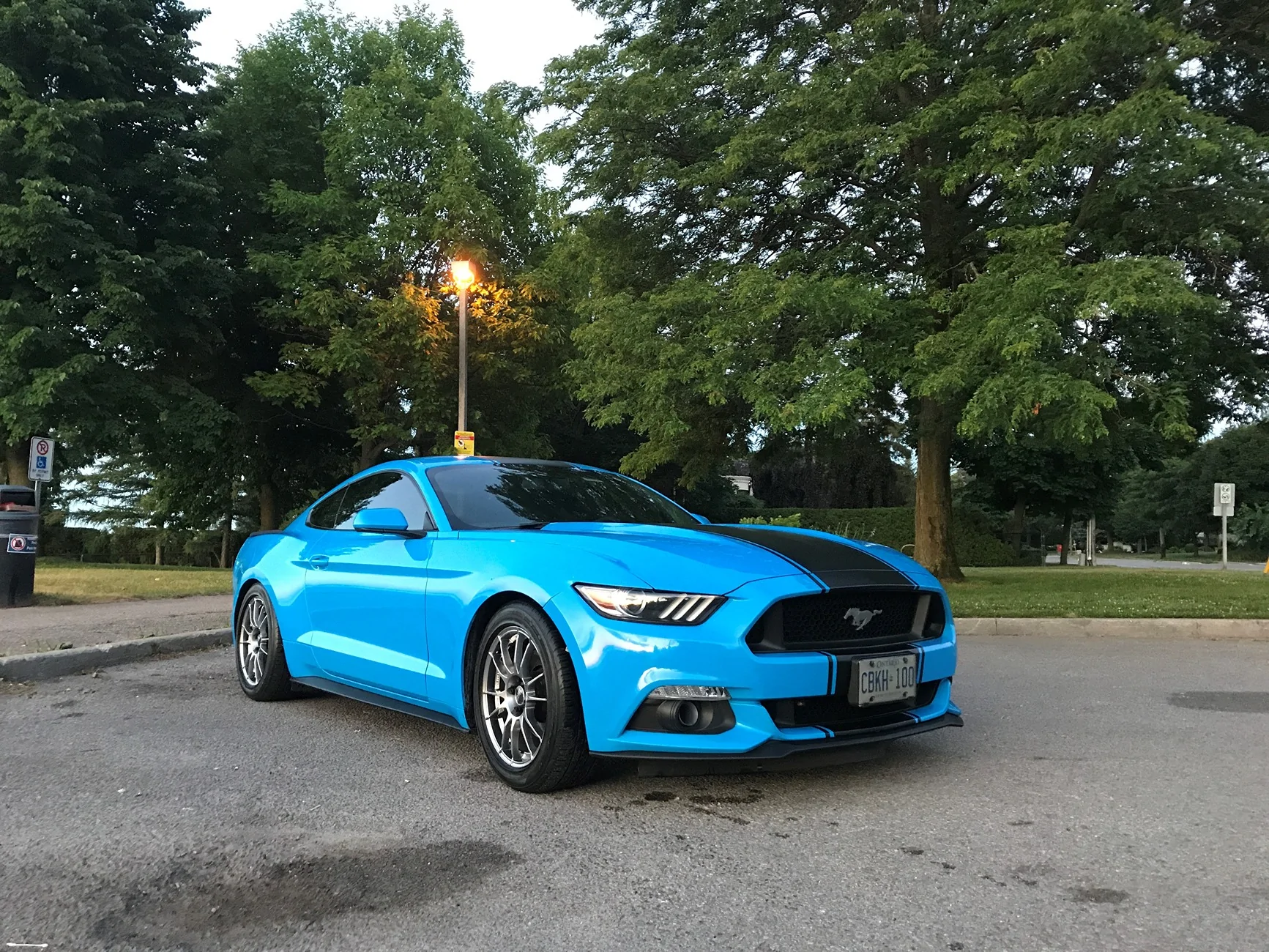 V6Stang.webp