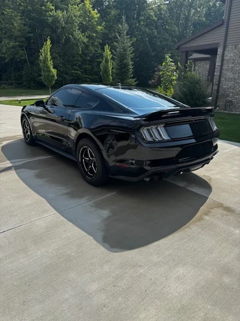 mustang.jpg