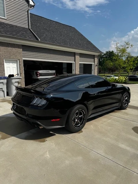 mustang2.jpg