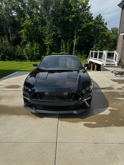 mustang4.jpg