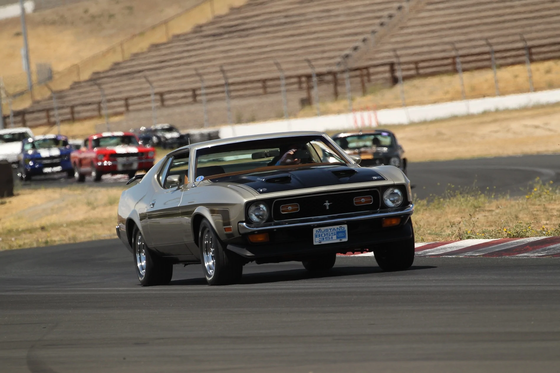 IMG_0032.webp