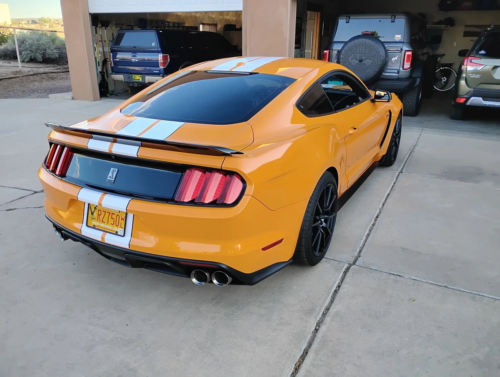 IMG_20250830_072302259_HDR.webp