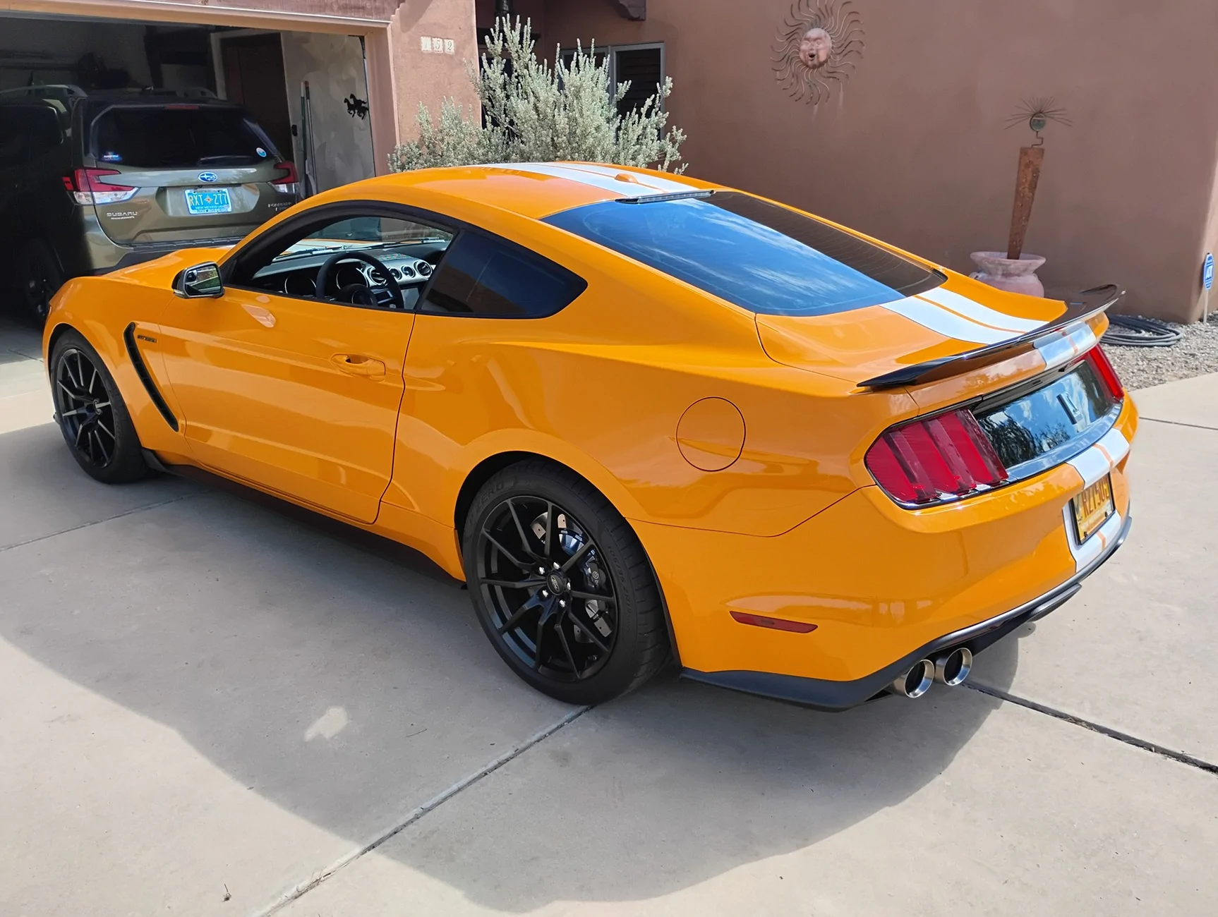 IMG_20250828_103043224_HDR.webp