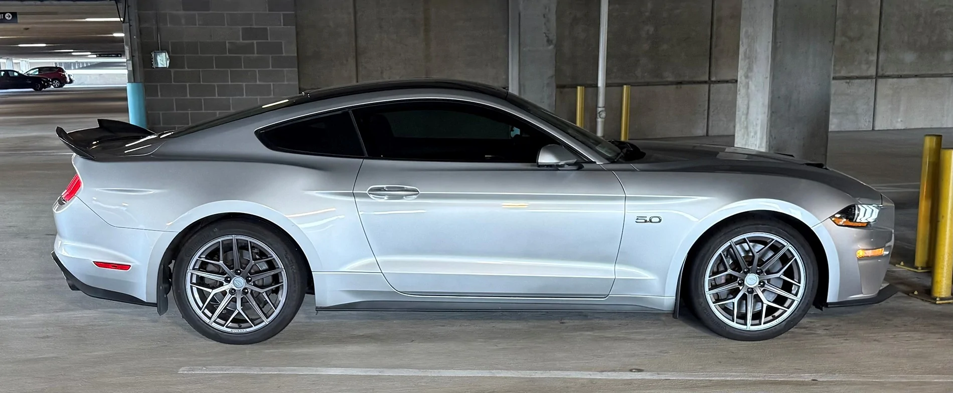 Mustang.webp