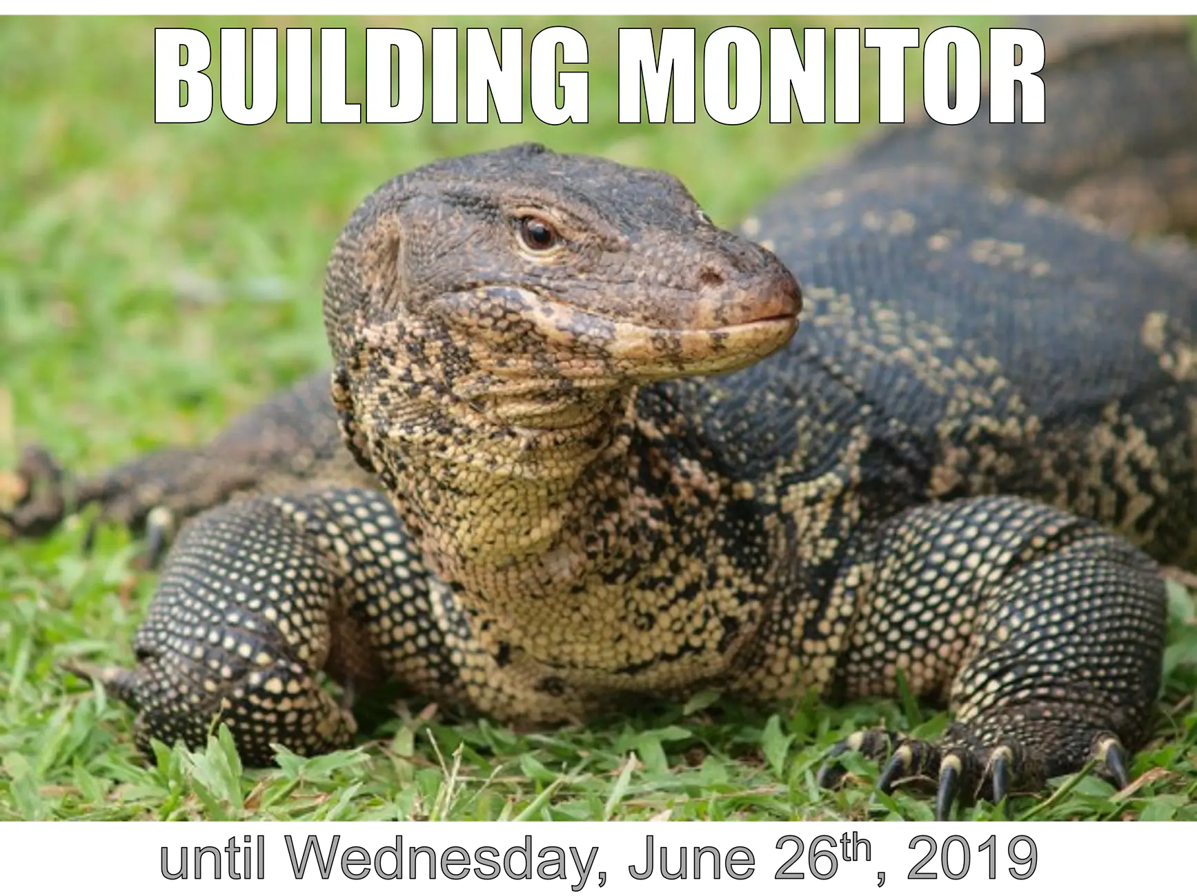 Building monitor, up to this date.webp
