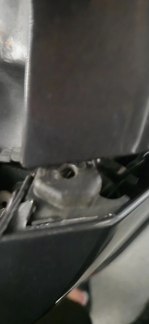 1000066464.webp