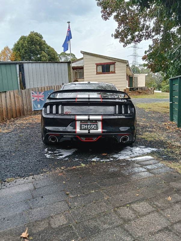 wash3.jpg