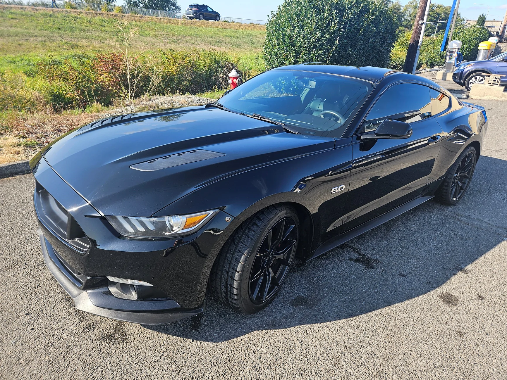 Mustang sell 6.webp