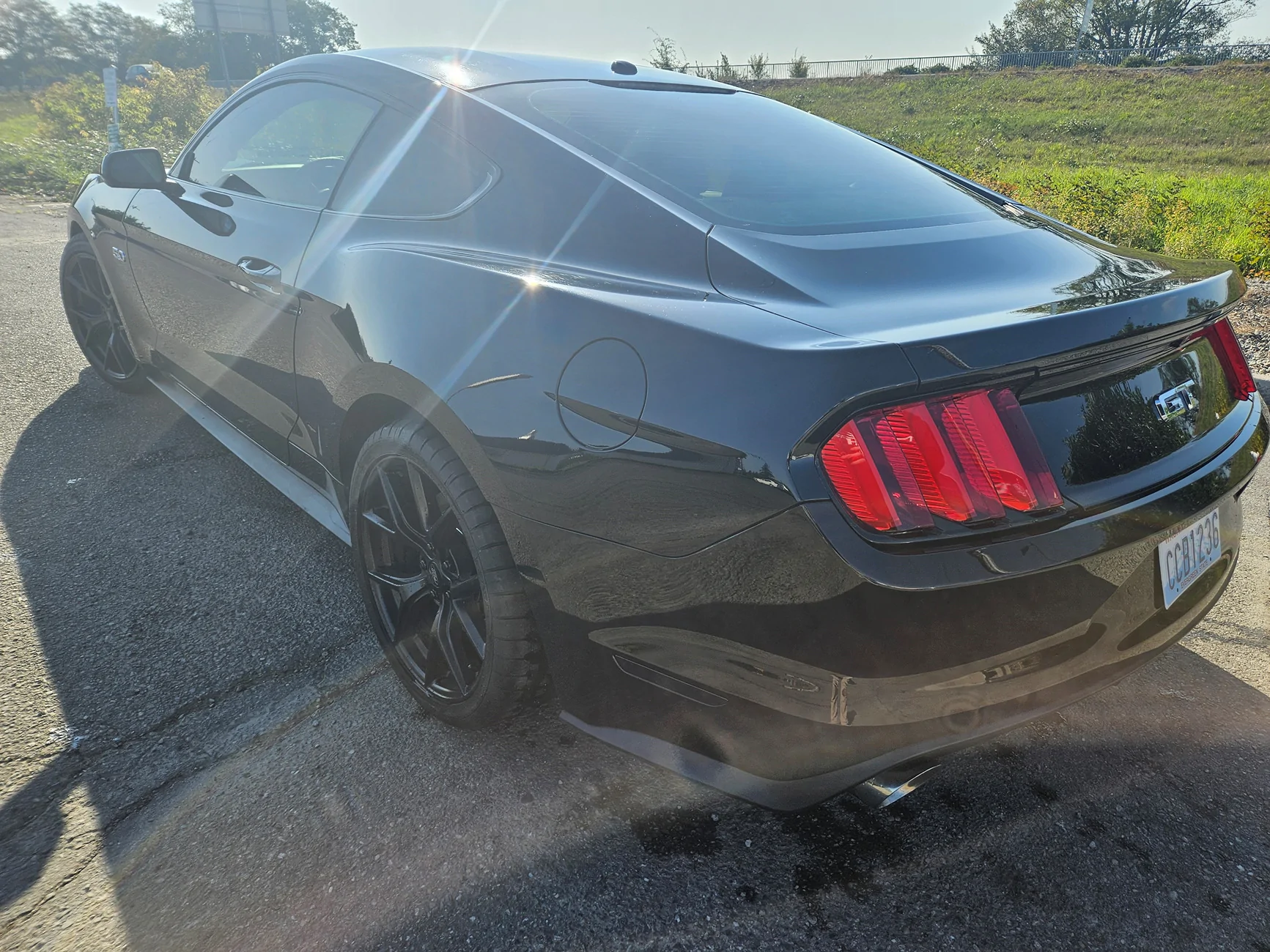 Mustang sell 5.webp
