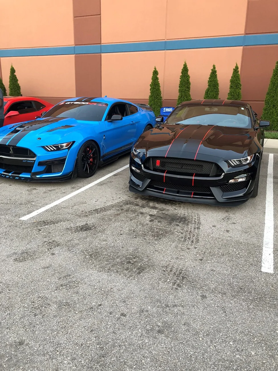 GT500 KR, GT350R.webp