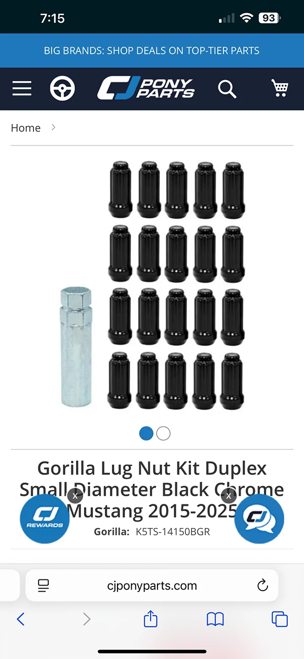 IMG_3113.webp