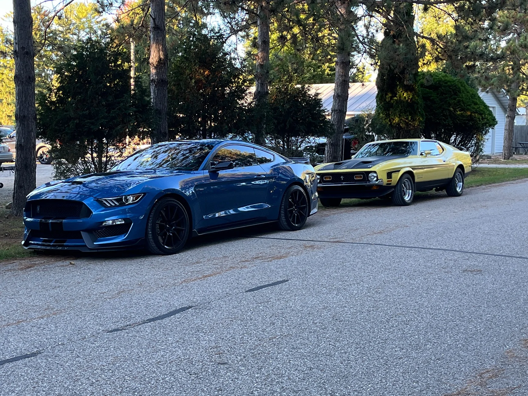 20250928_224217080_iOS.webp