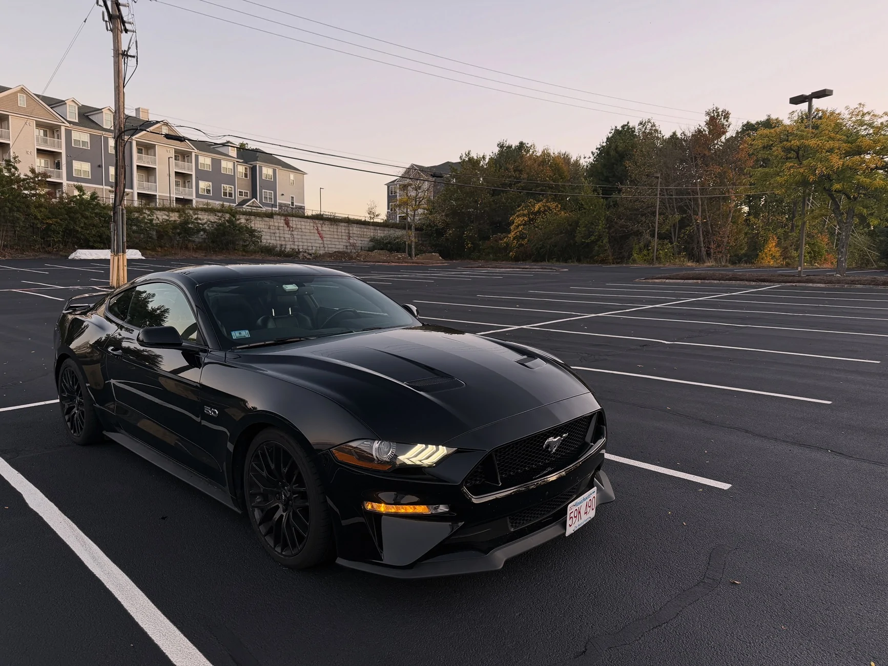 C3397DD7-5197-41CE-8B21-4EDDD1DCC941.webp