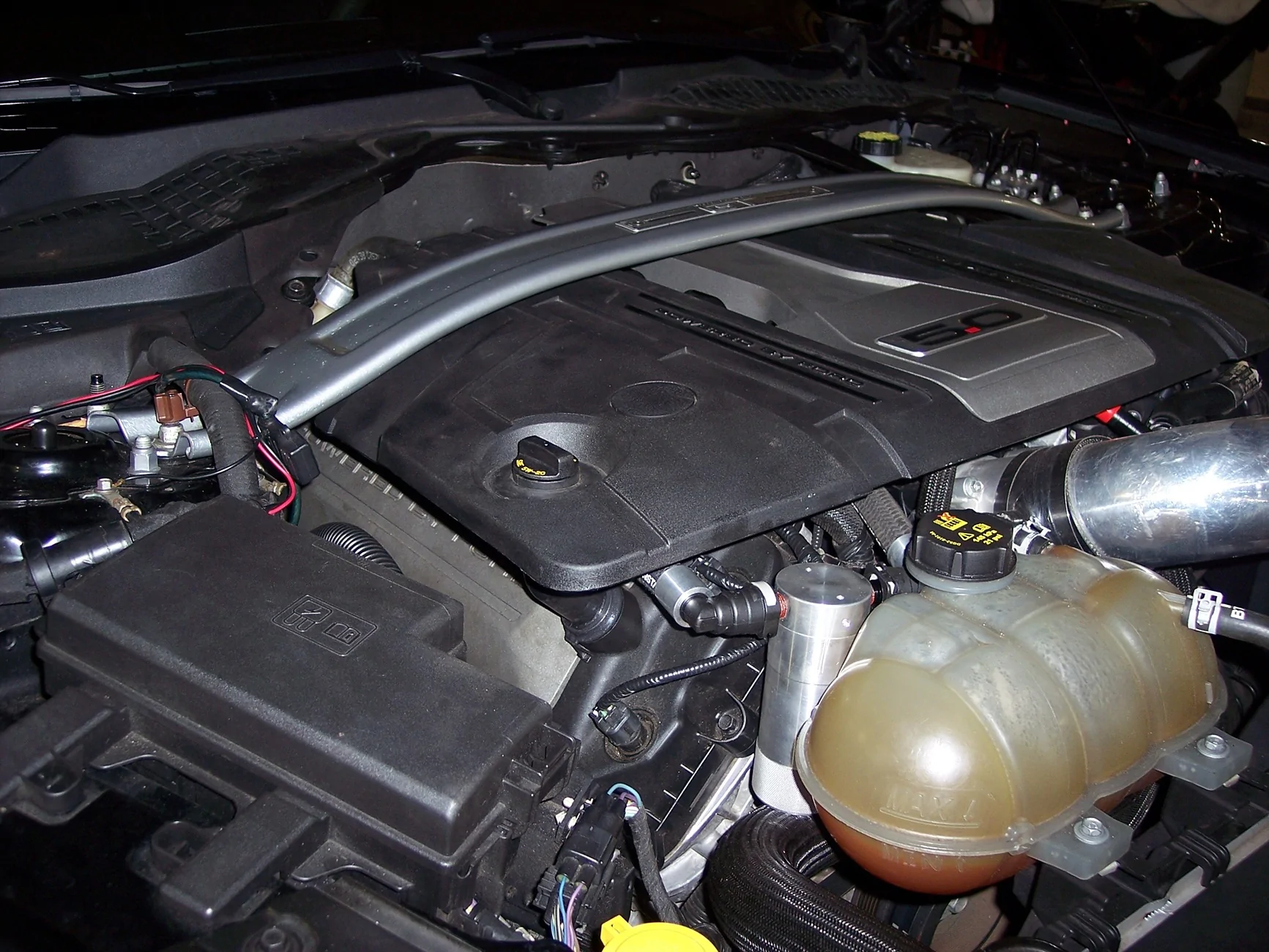 100_0521.webp