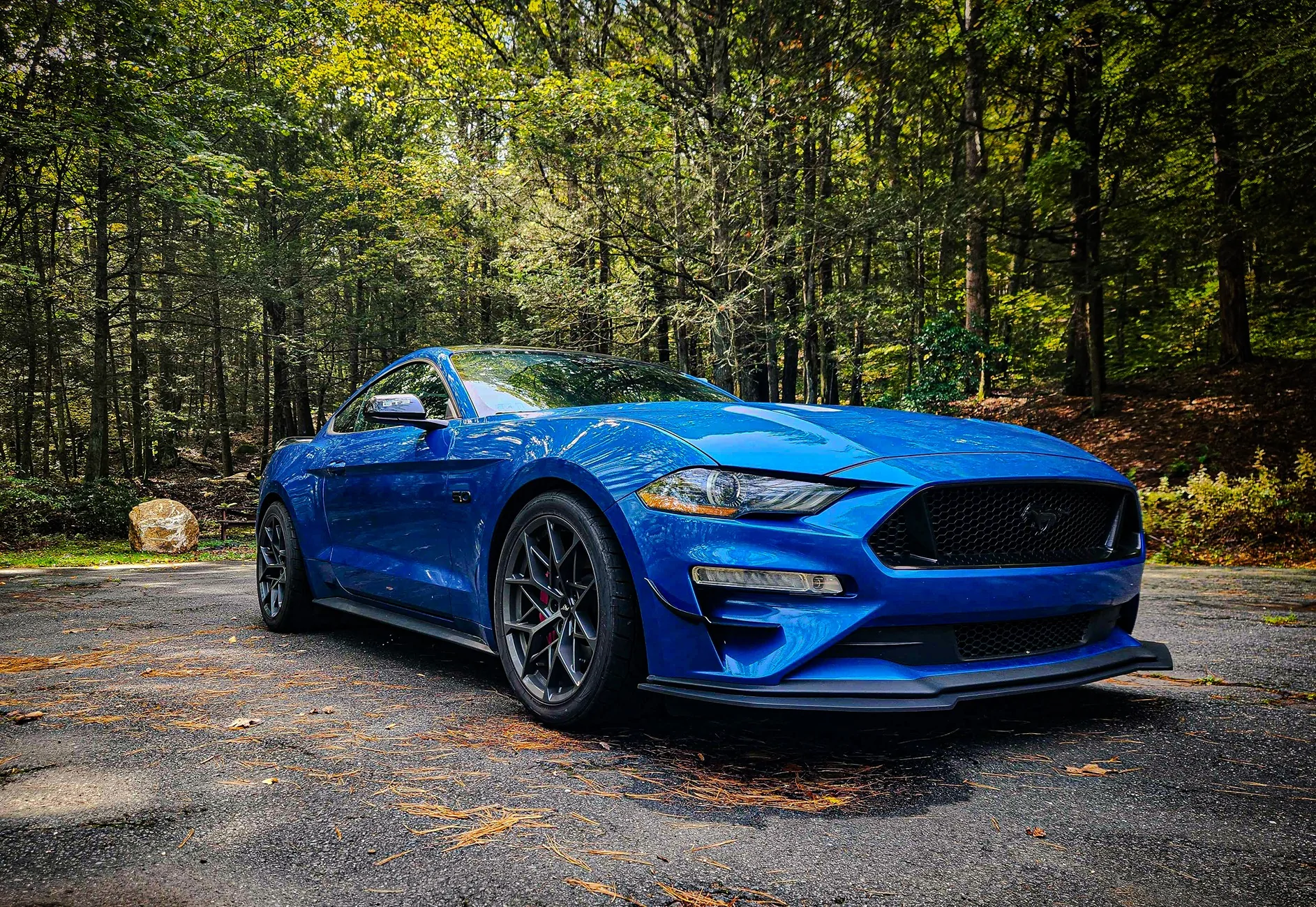 1st_Mustang_pic.webp