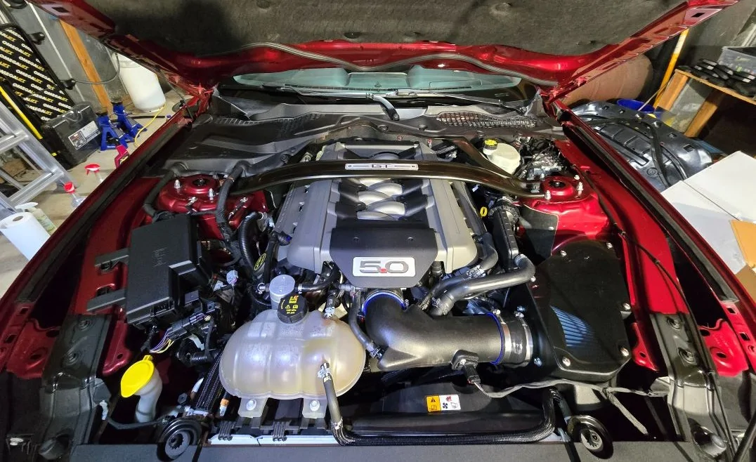 Mustang Eng 2.webp