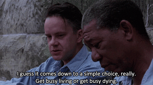 giphy-207912676.gif