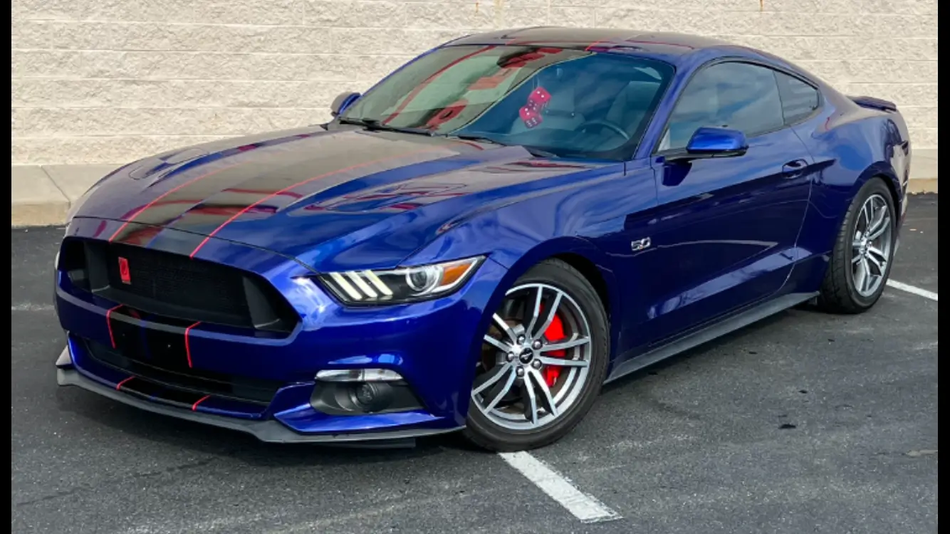 Mustang #2.webp