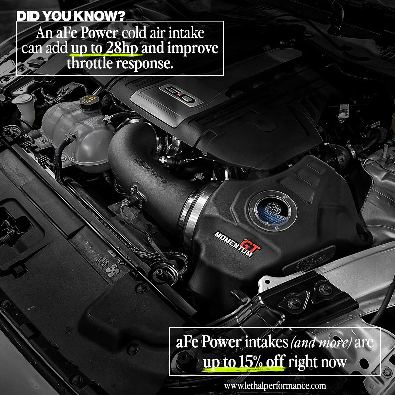 afe_mustang (3).webp