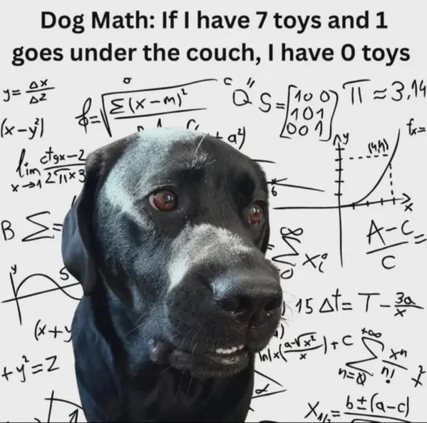 funny-dog-memes-10-21-25-1.jpg