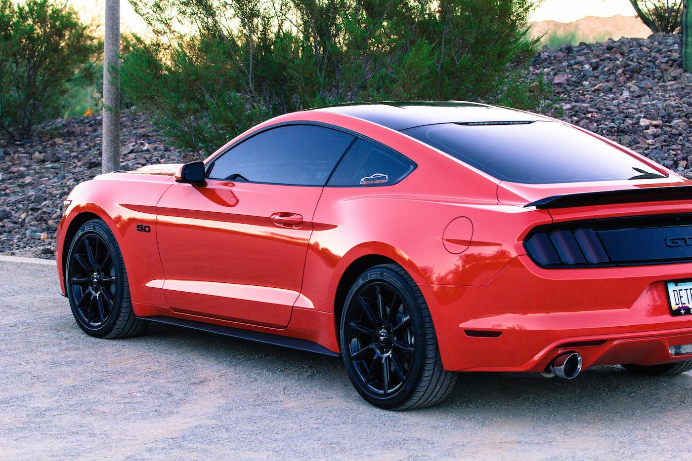 Brandon-Mustang-9836 copy.jpg