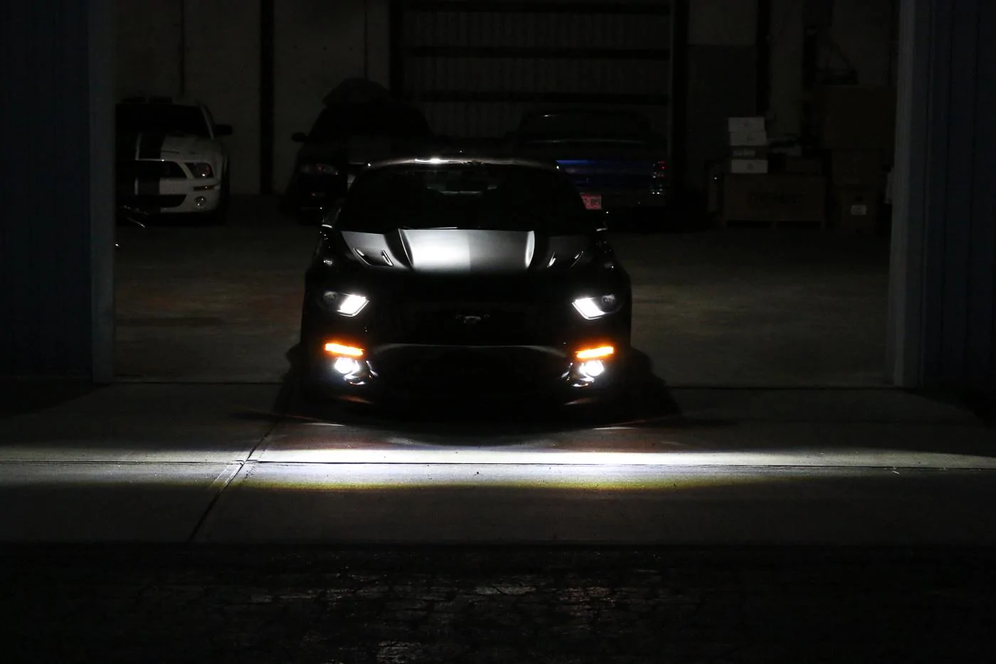 1-Steeda Midnight Edition - dark garage -1.webp