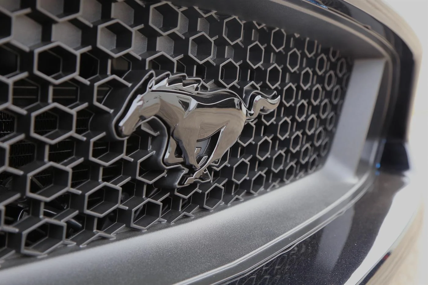 10-Steeda Midnight Edition black pony.webp