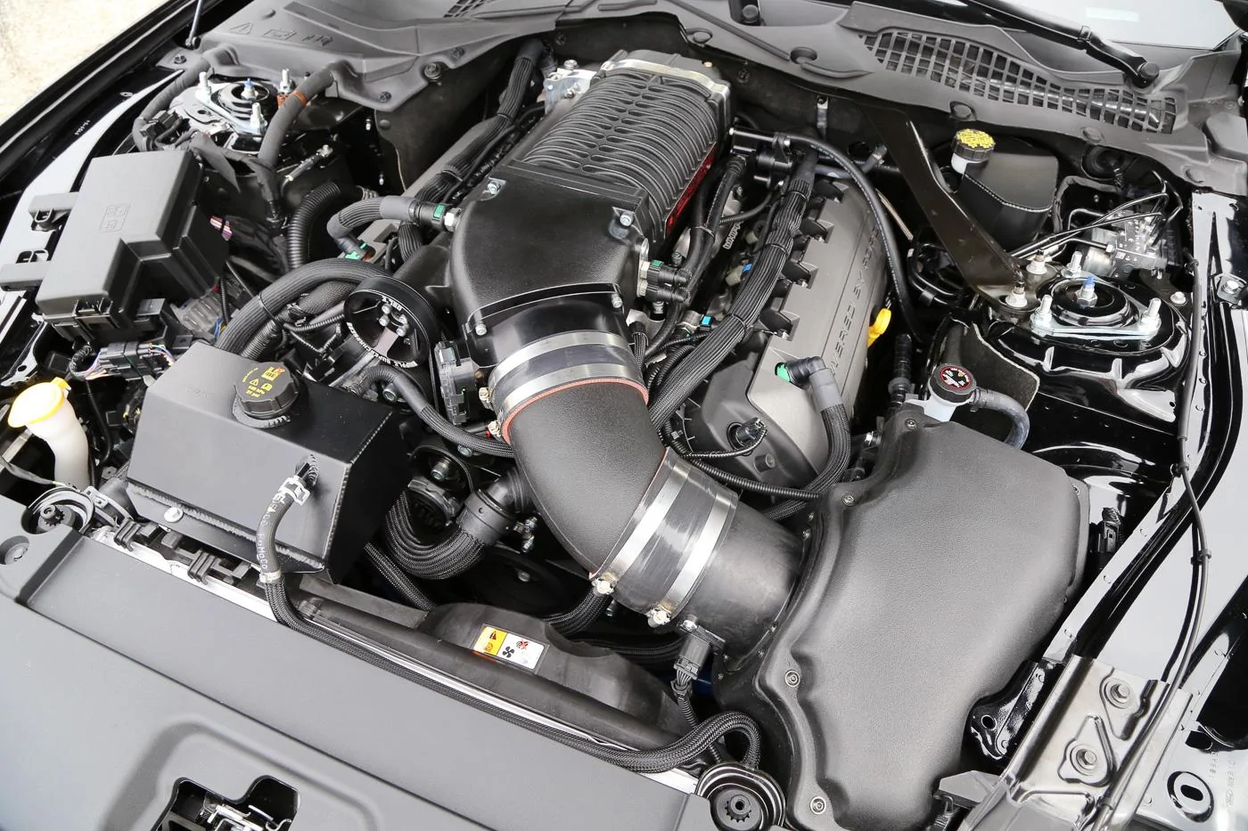 13-Steeda Midnight Edition engine -1.webp