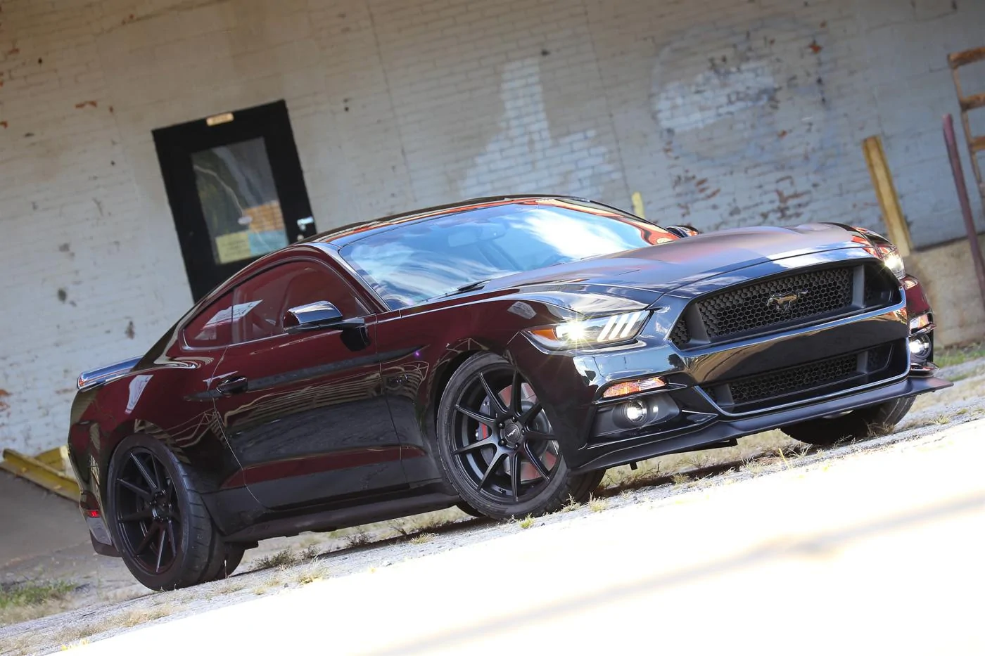 17-Steeda Midnight Edition exterior -6.webp