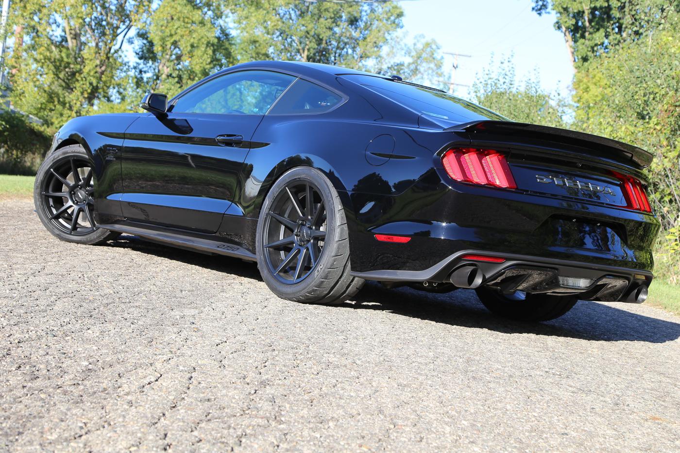 28-Steeda Midnight Edition rear -3.jpg
