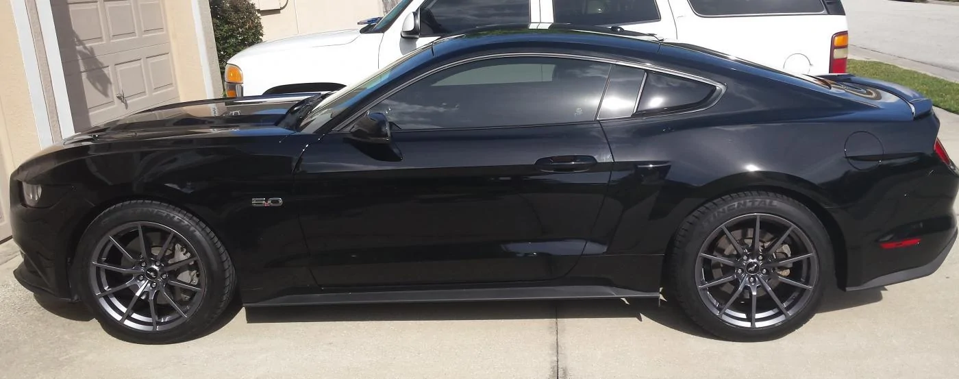 Mustang.webp