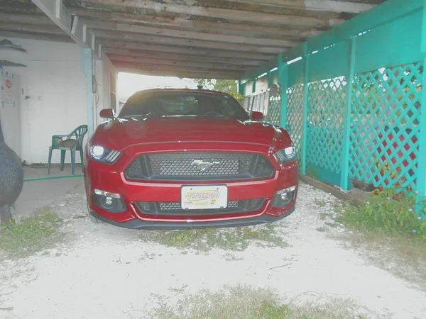 tn_DSCN1214.webp