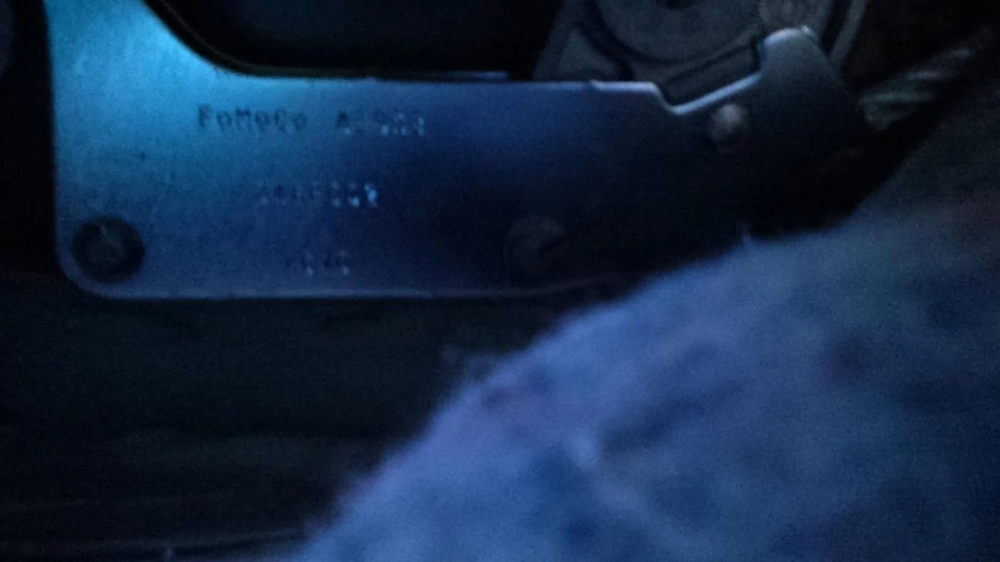 shelby_seatbelt_thing.webp