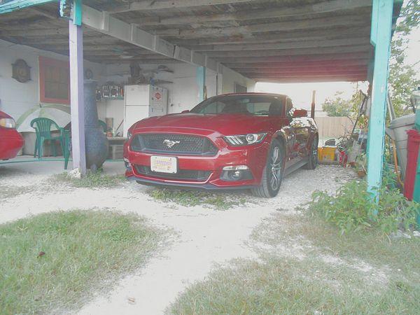 tn_DSCN1218.JPG