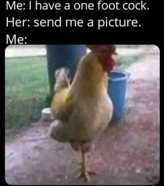 2e96a4ee50df5e3997eb6ec45072db3d87974e1b.jpg